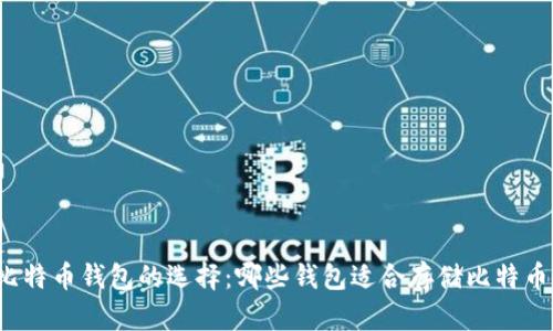 比特币钱包的选择:哪些钱包适合存储比特币?