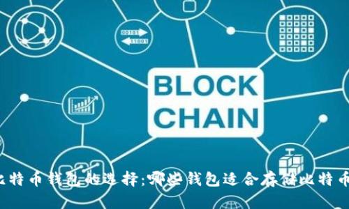 比特币钱包的选择:哪些钱包适合存储比特币?