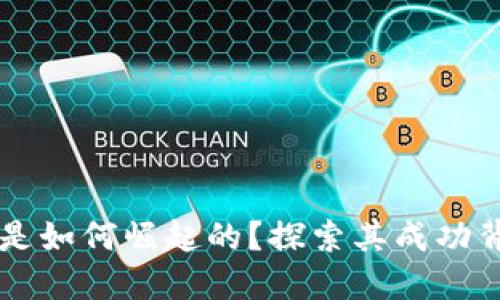 TPWallet是如何崛起的?探索其成功背后的原因