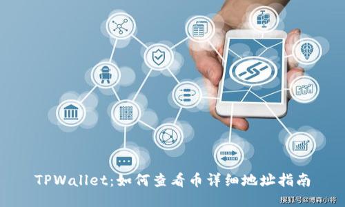 TPWallet:如何查看币详细地址指南