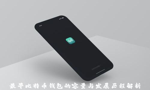 最早比特币钱包的容量与发展历程解析