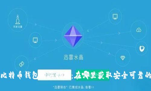 大陆比特币钱包购买指南:在哪里获取安全可靠的钱包