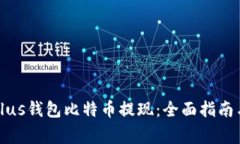 如何实现Plus钱包比特币提
