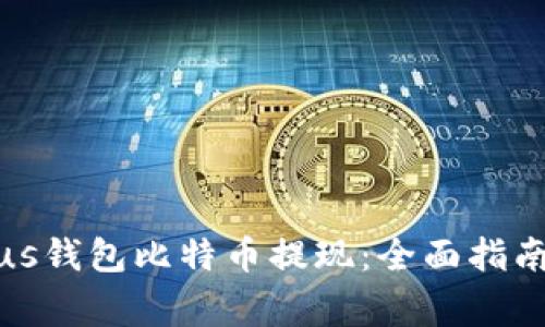 如何实现Plus钱包比特币提现:全面指南与注意事项