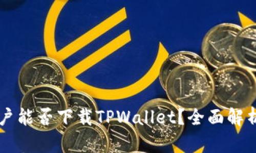 苹果用户能否下载TPWallet?全面解析与指南