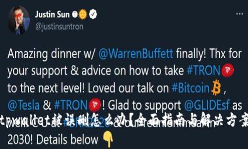 tpwallet被误删怎么办?全面指南与解决方案