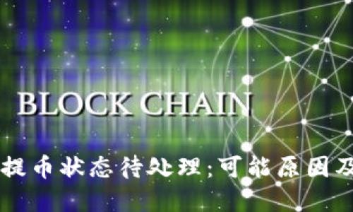 TPWallet提币状态待处理:可能原因及解决方案