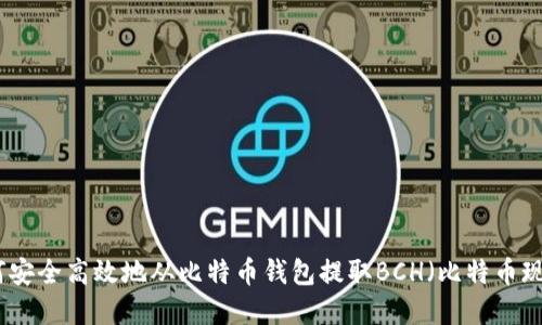 如何安全高效地从比特币钱包提取BCH(比特币现金)