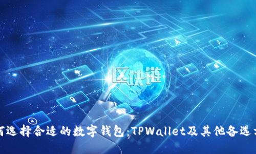 如何选择合适的数字钱包:TPWallet及其他备选方案
