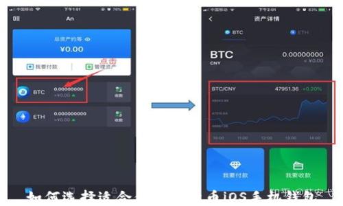 如何选择适合你的比特币iOS手机钱包