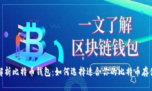 全面解析比特币钱包:如何选择适合你的比特币存储方案