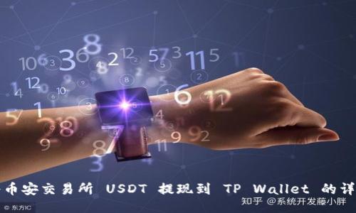 如何将币安交易所 USDT 提现到 TP Wallet 的详细教程