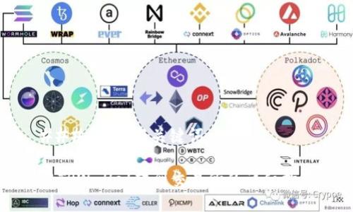 ### 标题与关键词
从TPWallet转到交易所的详细指南