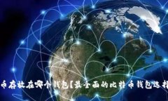 比特币存放在哪个钱包？