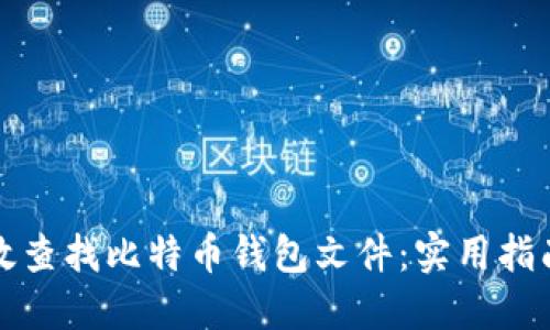 如何高效查找比特币钱包文件:实用指南与技巧