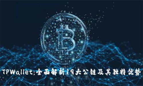 TPWallet:全面解析19大公链及其独特优势