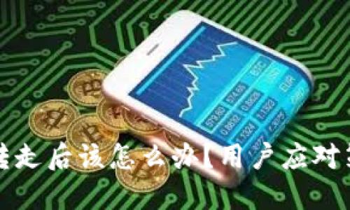 TPWallet币被转走后该怎么办?用户应对策略和预防措施