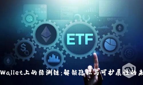 TPWallet上的绿洲链:解锁隐私与可扩展性的未来