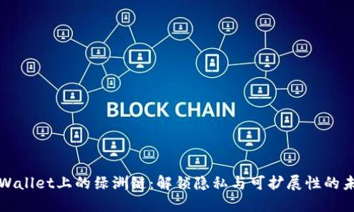 TPWallet上的绿洲链:解锁隐私与可扩展性的未来