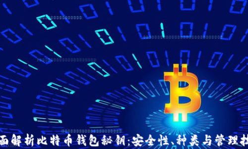 全面解析比特币钱包秘钥:安全性、种类与管理技巧