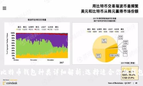 比特币钱包种类详细解析:选择适合你的钱包