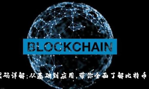 比特币钱包源代码详解:从基础到应用,带你全面了解比特币钱包的工作原理