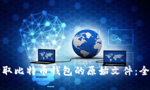 如何读取比特币钱包的原始文件:全面指南