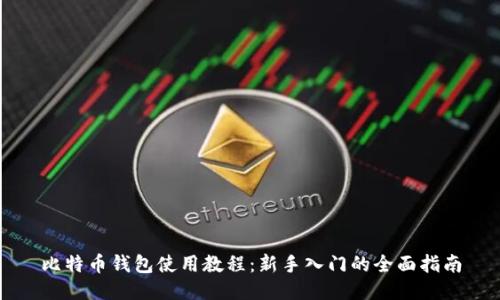 比特币钱包使用教程:新手入门的全面指南