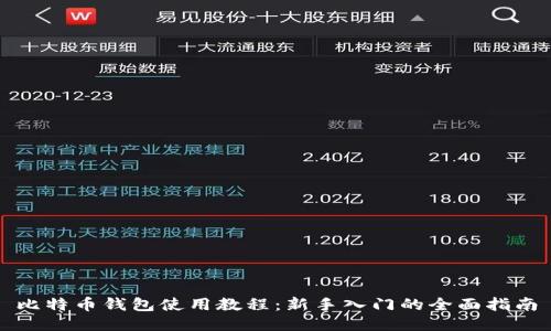 比特币钱包使用教程:新手入门的全面指南