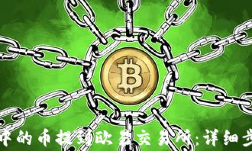 如何将TP钱包中的币提到欧易交易所:详细步骤与注意事项