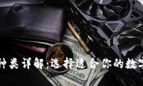 比特币钱包的种类详解:选择适合你的数字资产管理工具