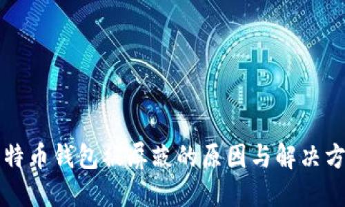 比特币钱包被屏蔽的原因与解决方案