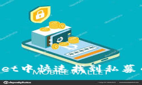 如何在TPWallet中快速找到私募币?一站式指南