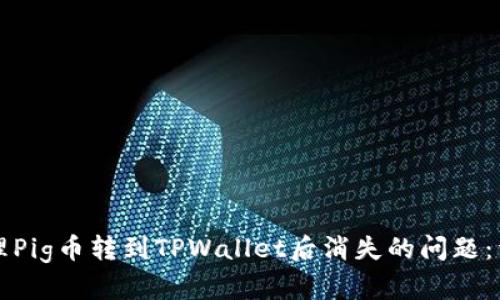 如何处理Pig币转到TPWallet后消失的问题:详细指南