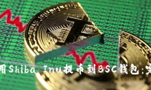 如何使用Shiba Inu提币到BSC钱包:完整指南