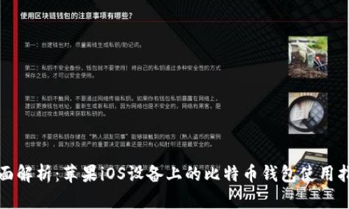 全面解析:苹果iOS设备上的比特币钱包使用指南