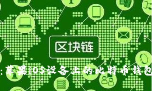 全面解析:苹果iOS设备上的比特币钱包使用指南