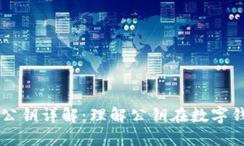 狗狗币钱包公钥详解:理解公钥在数字钱包中的作用