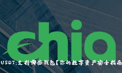 USDT:支持哪些钱包?你的数字资产安全指南