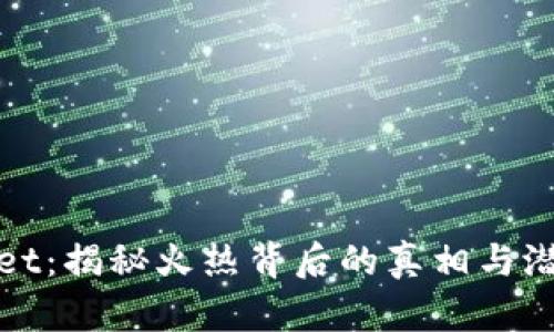 TPWallet:揭秘火热背后的真相与潜在风险