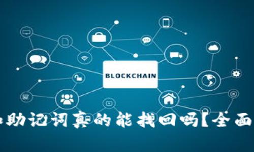 TPWallet私钥和助记词真的能找回吗?全面解析及解决方案
