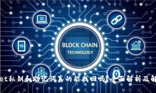 TPWallet私钥和助记词真的能找回吗?全面解析及解决方案