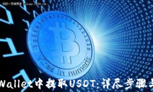 如何在TPWallet中提取USDT:详尽步骤与注意事项