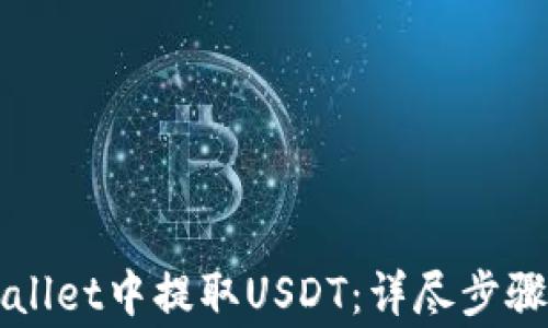如何在TPWallet中提取USDT:详尽步骤与注意事项