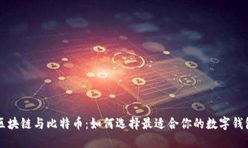 区块链与比特币:如何选择最适合你的数字钱包