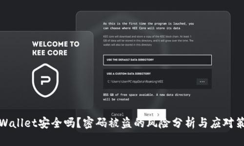 TPWallet安全吗?密码被盗的风险分析与应对策略