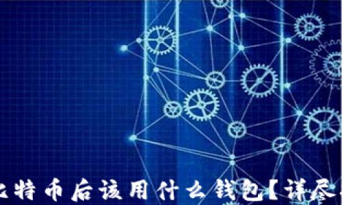 买比特币后该用什么钱包?详尽指南