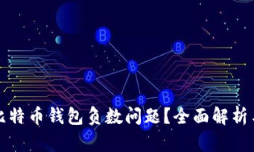 如何解决比特币钱包负数问题?全面解析与解决方案