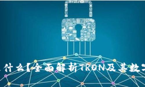 TRX钱包是什么?全面解析TRON及其数字资产管理