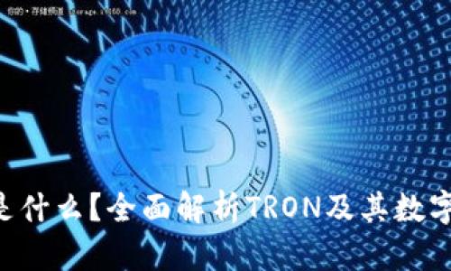 TRX钱包是什么?全面解析TRON及其数字资产管理
